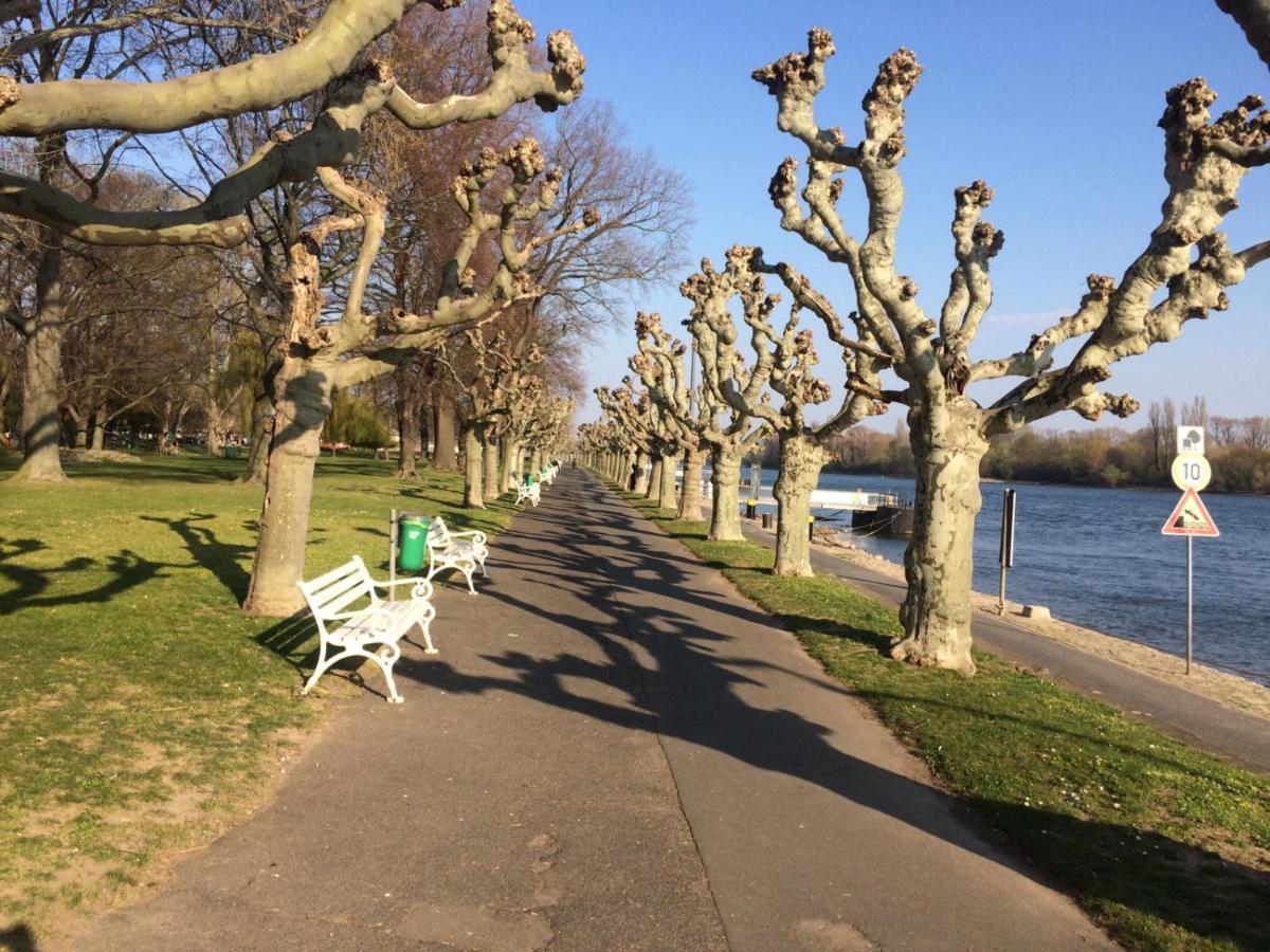Hotel Krone Ruedesheim Rüdesheim am Rhein Dış mekan fotoğraf