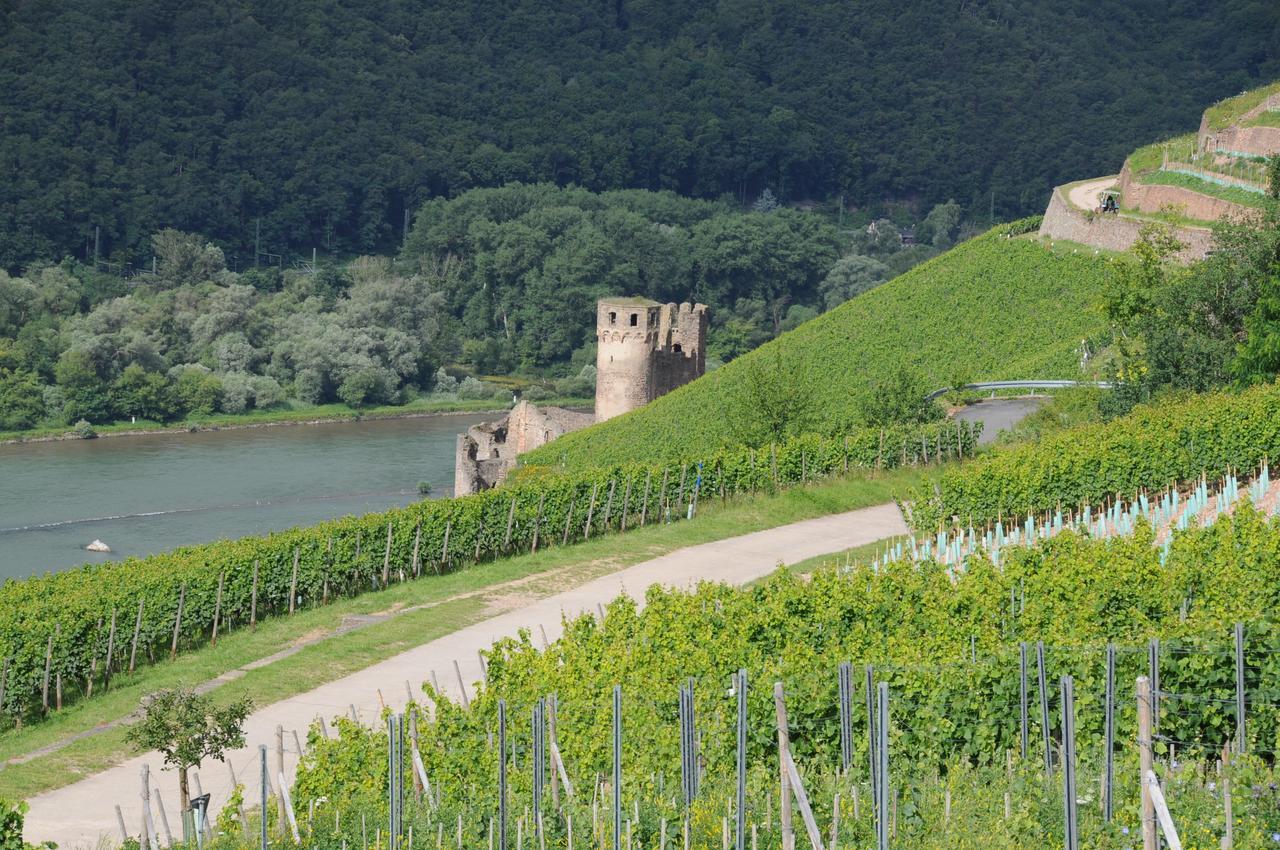 Hotel Krone Ruedesheim Rüdesheim am Rhein Dış mekan fotoğraf